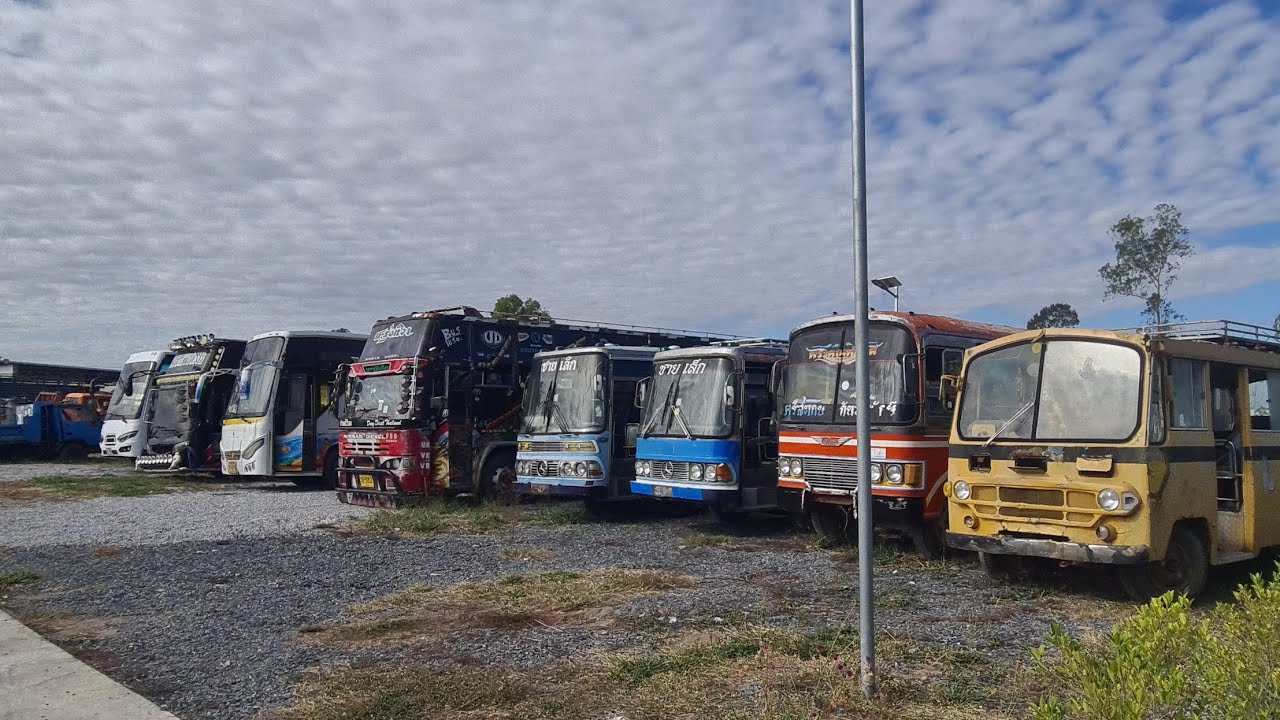 รถบัสมีให้เลือกเกือบ 20 คันชอบคันไหนกิ้งกางมาครับ