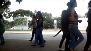 Bolon Con Chicharron Ft Harlem Shake