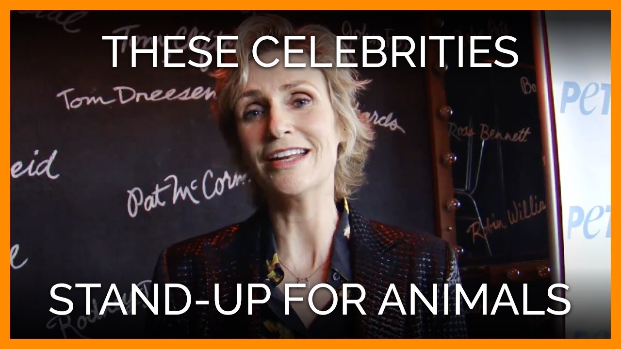 Stand-Up for Animals