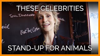 Stand-Up for Animals