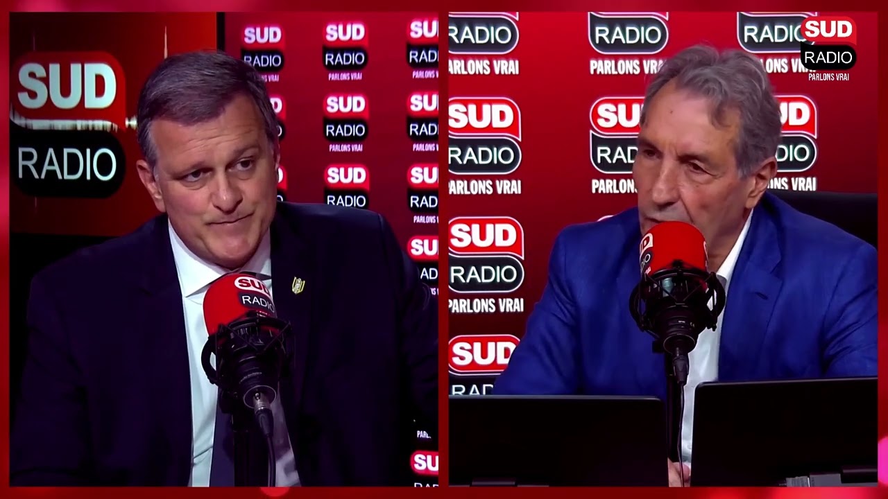 Louis Aliot : "S'il n'a pas de majorité absolue, Emmanuel Macron devra réfléchir à démissionner"