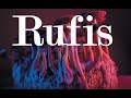 RUFIS PLANT INTELLIGENCE INSTRUMENTAL mp3