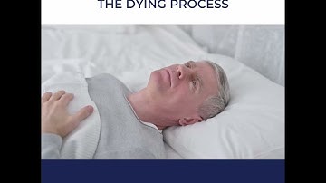 Uncovering the Reality of End-Stage Alzheimer