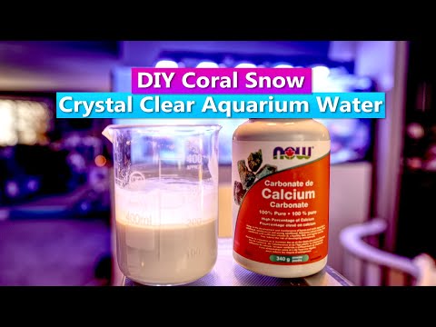 DIY Coral Snow - Crystal Clear Aquarium Water