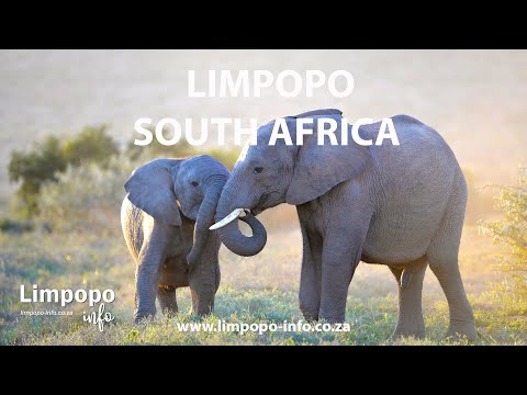 Video: Atraksi Terbaik di Limpopo, Afrika Selatan