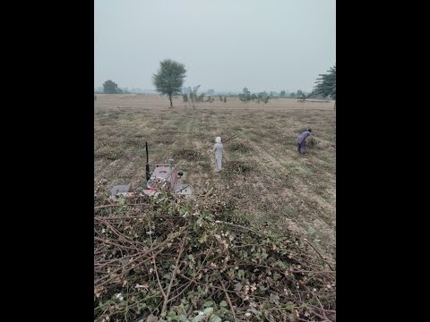 COTTON PLANTS LOGIN IN TRACTOR PROCESS