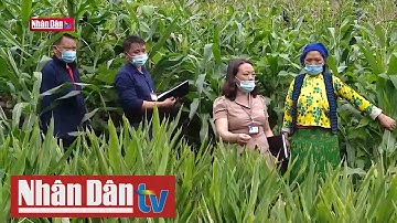 Làm theo gương Bác: Dân vận khéo thì việc gì cũng thành công