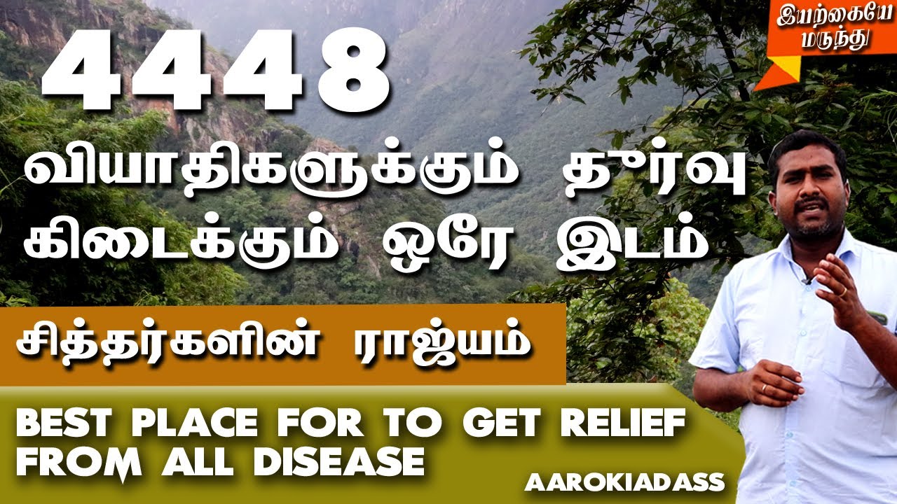 Pomni get relief