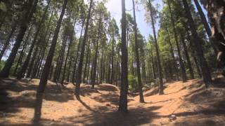 Apollomatkat - Pala Gran Canariaa