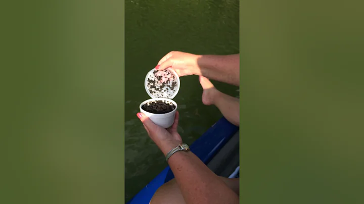 Keeping Your Boat Clean while Fishing with Night C...