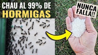 Les comparto la Solución para ACABAR con las HORMIGAS | EFECTIVO 100%  Huerto, Casa o Jardín