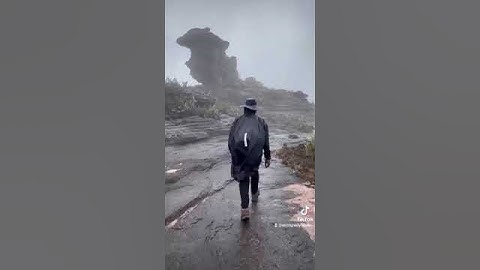 Mundos perdidos tepuyes Gran Sabana Parque Nacional Canaima estado Bolívar, viajes inolvidables.