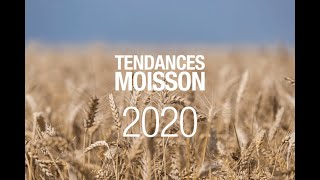 Les premières tendances de la Moisson 2020