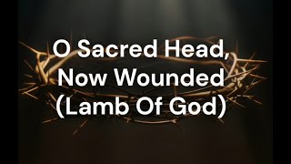 O Sacred Head, Now Wounded (Lamb Of God) | Travis Cottrell & SATB Choir (lyric video)