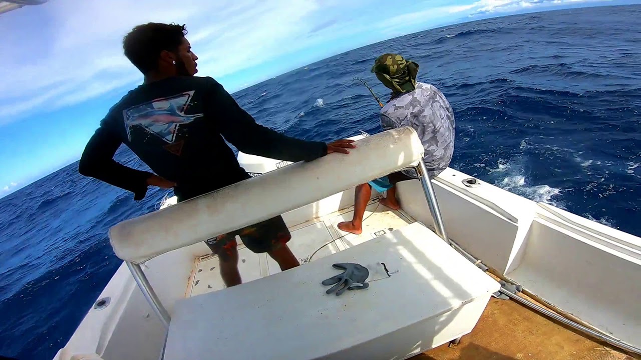 Fishing Blue Marlin Venezuela YouTube