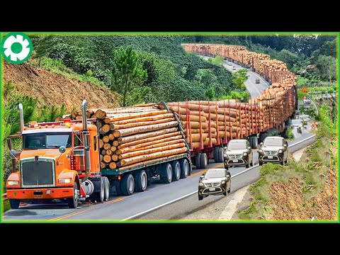 Jaw-Dropping Extreme Dangerous Transport Skill Operations | Biggest Heavy Machinery Machines