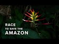 Race to Save the Amazon - The Artisanal Mining Grand Challenge