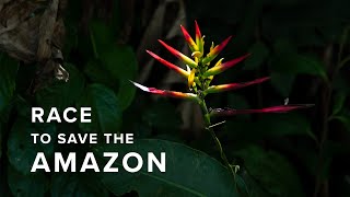 Race to Save the Amazon - The Artisanal Mining Grand Challenge