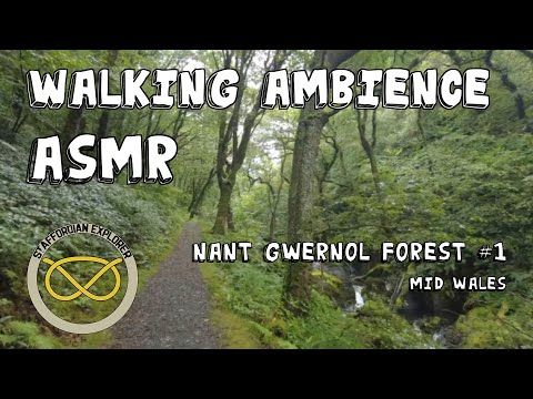 Walking Ambience - Nant Gwernol #1 - ASMR