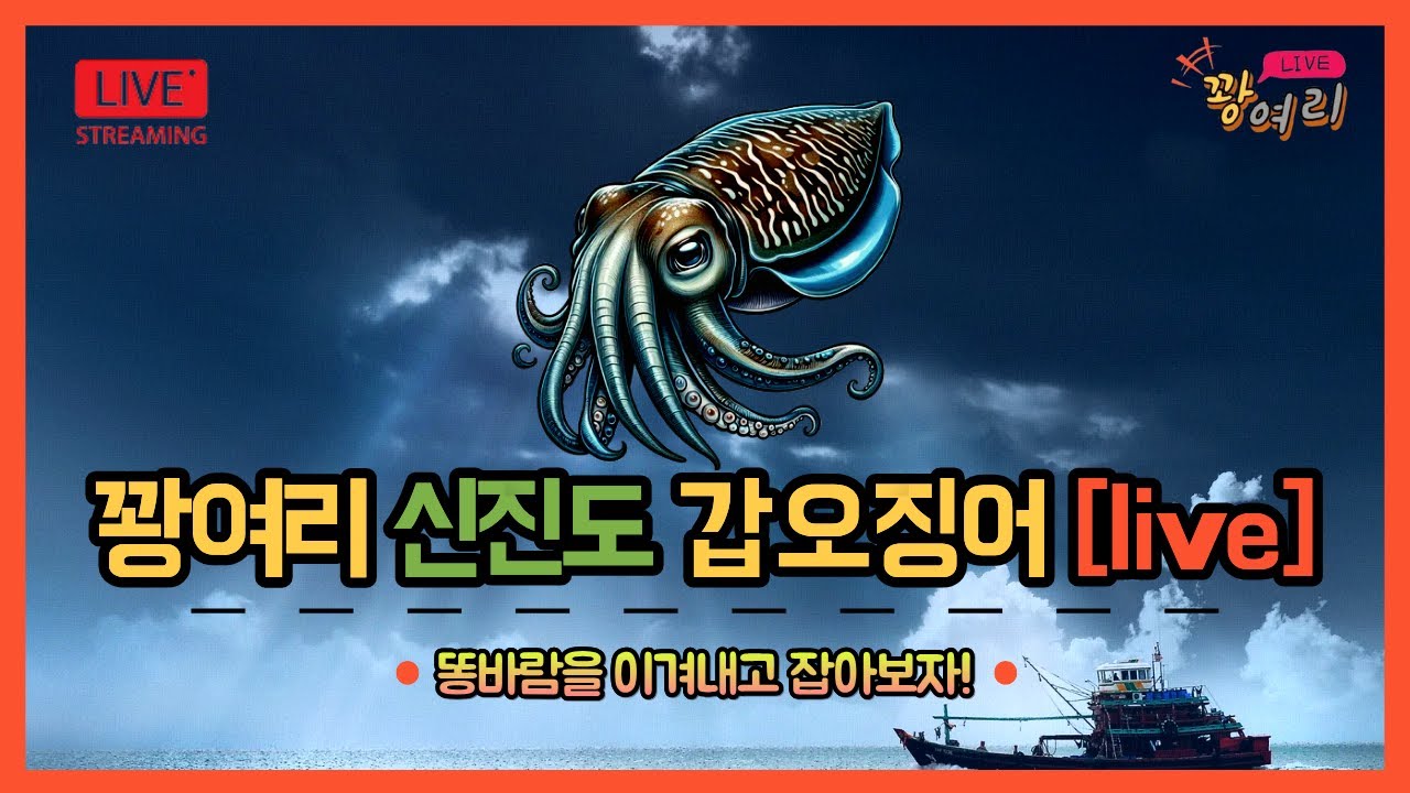 신진도 왕왕왕 찰박이 잡아유~ㅣ 왕갑오징어ㅣ서해 갑오징어ㅣ갑오징어 사이즈ㅣ신진도 어해루호