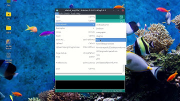 Arduino Kullanımı (Pardus 17.4 XFCE