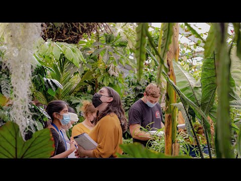 UC Davis LIVE: Biodiversity Museums