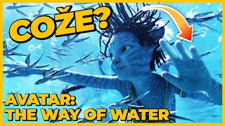 ROZBOR traileru AVATAR: THE WAY OF WATER | Víme víc, než si myslíme!