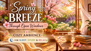 Spring Breeze Through Open Windows | Cozy Ambience for Sleep & Study, and Relax