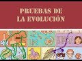 Pruebas de la Evolución