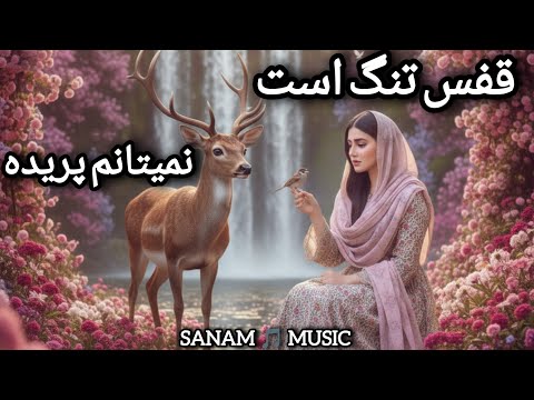 قفس تنگ است نمیتانم پریده او گل خوش بو تره نای نای آهنگ خیلی زیبا با صدای دل نشین Sanam 