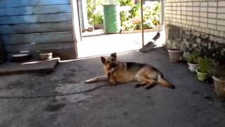 Я в Казахстане Я в Казахстане