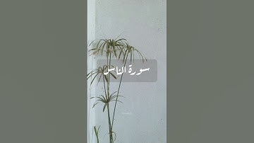 سورة الناس  || الشيخ ماهر المعيقلي #قرآن #اكسبلور #quran #holyquran