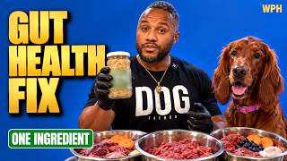Managing Your Dogs Gut Health
