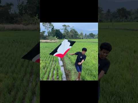 BERBURU LAYANGAN BOMBER