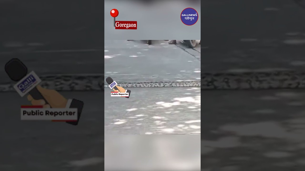 Python Snake Road cross karta dikha, Mumbai, Viral Video Goregaon East Aarey Colony ka bataya jaa