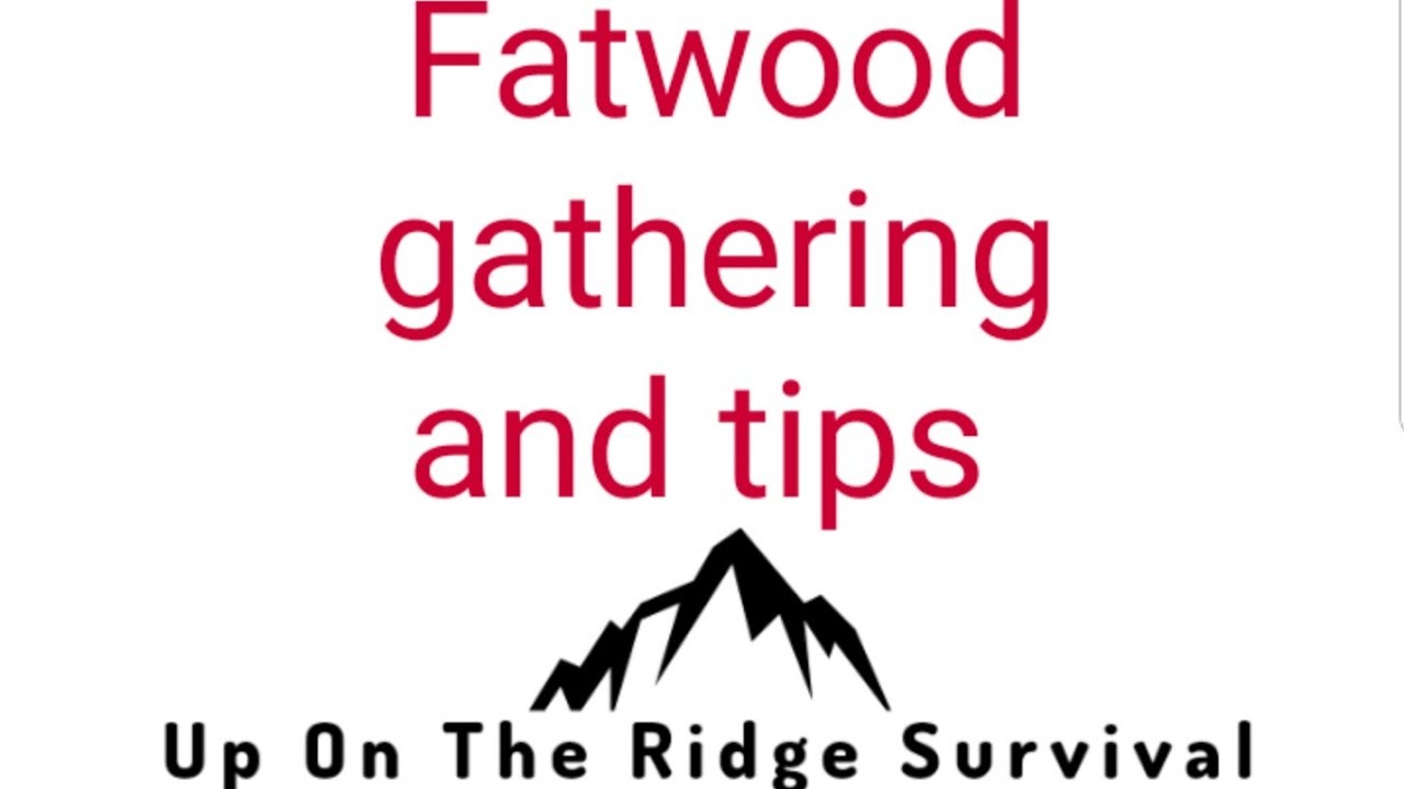 Fatwood harvesting tips and tricks. YouTube