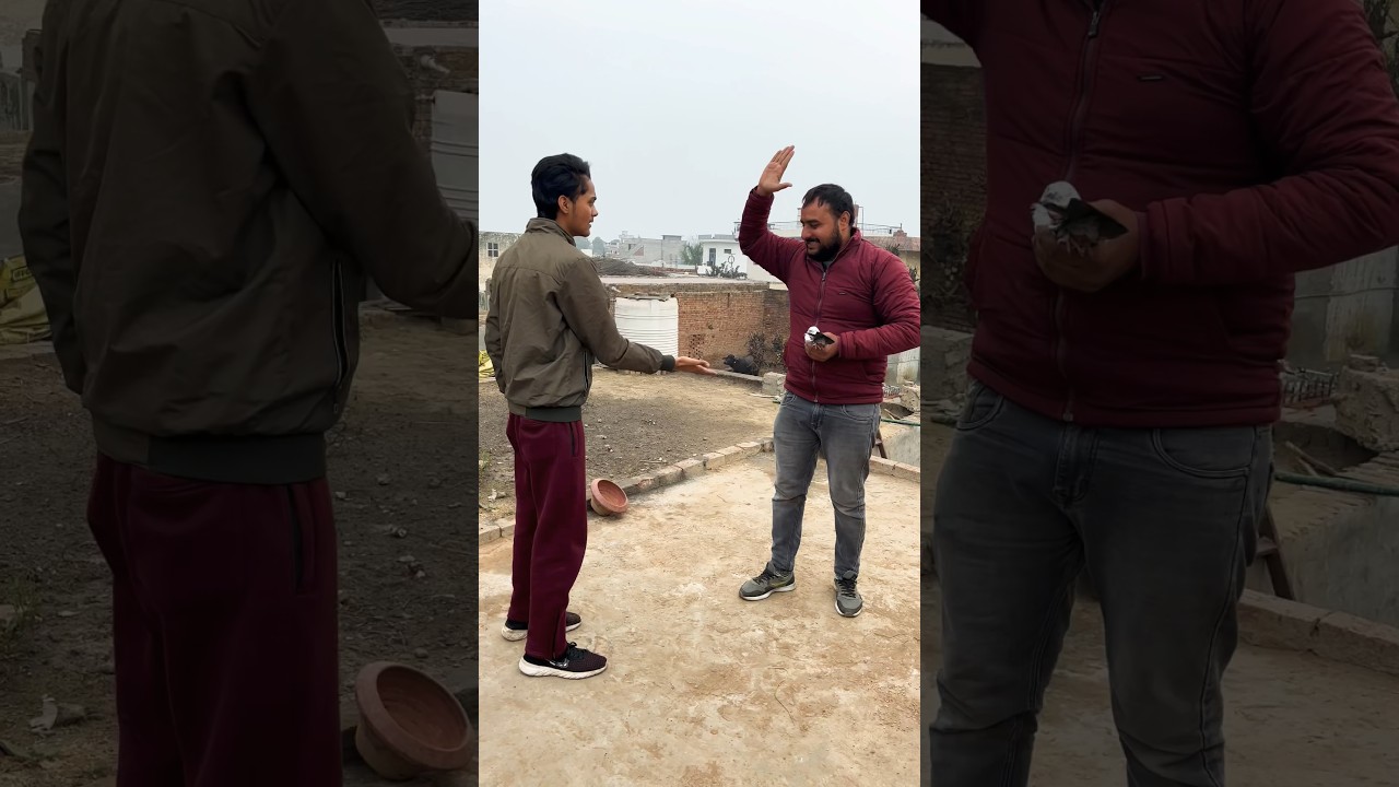 Kabootar Baaz Return 