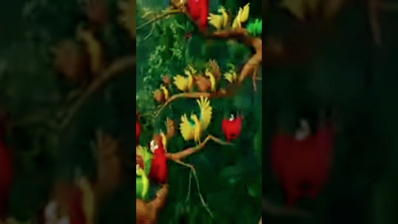 Voting  song 🎶 Time ⌚ | funny movement | 