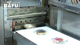 FWM500 Horizontal Flow Wrapper
