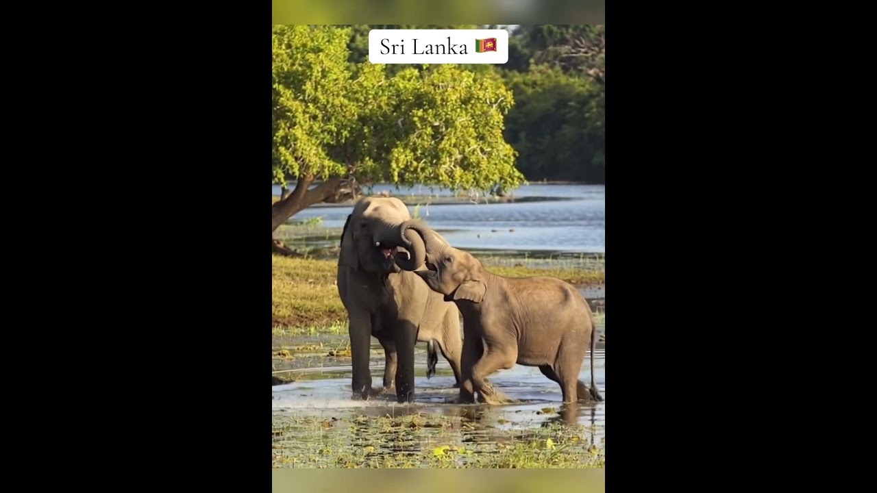 Beauty of Sri Lanka 
