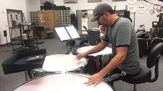 MS Region Set B-Timpani Full Tutorial and Run