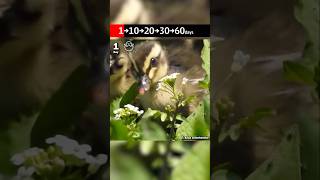 Not Cute Anymore? No 