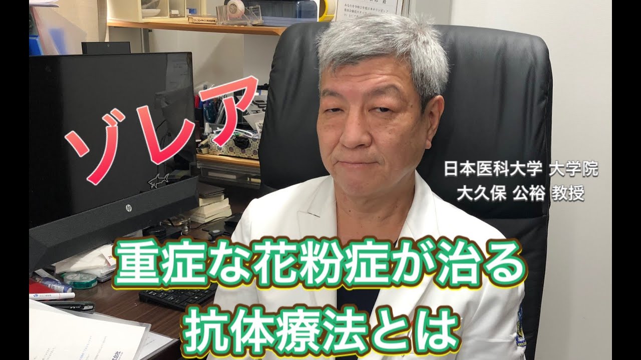 重症なスギ花粉症が治る 抗体療法 ゾレア とは 大久保公裕先生が解説 Youtube