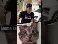 cat reaction 190 #cat #shorts #funny #memes #cute #jumpstyle