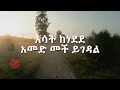 Dawit Tsige Libe Sew ልቤ ሰው New Ethiopian Music 2024 Lyrics UnOfficial Video 