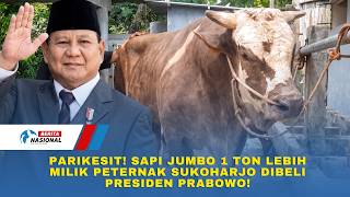 PARIKESIT! Sapi Jumbo 1 Ton Lebih Milik Peternak Sukoharjo Dibeli Presiden Prabowo!