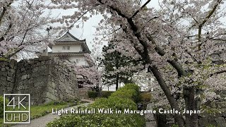 4k ASMR | Light Rainfall Walk in Marugame Castle, Japan | Binaural Rain Sounds for Sleep and Study