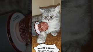 Bizim Fincana Sorduk;Kız Arkadaşın Olsaydı Neler Yapmak İsterdin?