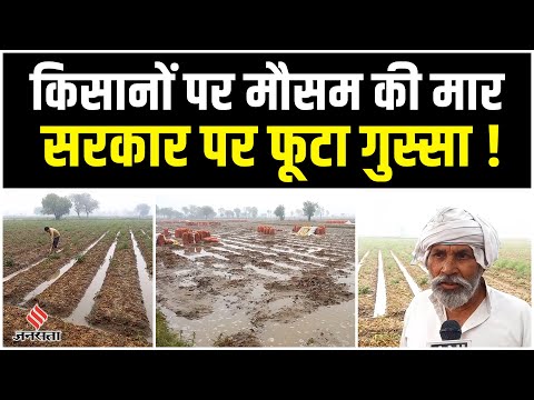 Heavy Rainfall: बेरहम मौसम की मार से परेशान Kisan,Government पर यूँ दिखा गुस्सा!