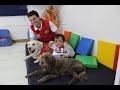 Terapia Asistida con Animales  Para Niños (Huesos de Cristal) - TvAgro por Juan Gonzalo Angel